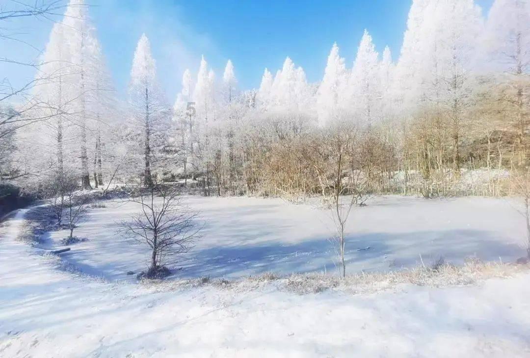 喜羊羊要上200层