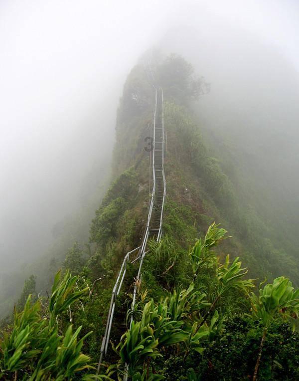 此清单包含:真丝的衣衫、从巴黎到鲁昂的旅行、熟化的卡芒贝尔奶酪、“美学”,以及一场永恒的梦